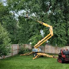 Seasonal Cleanup (Spring/Fall) in Westwood, KS
